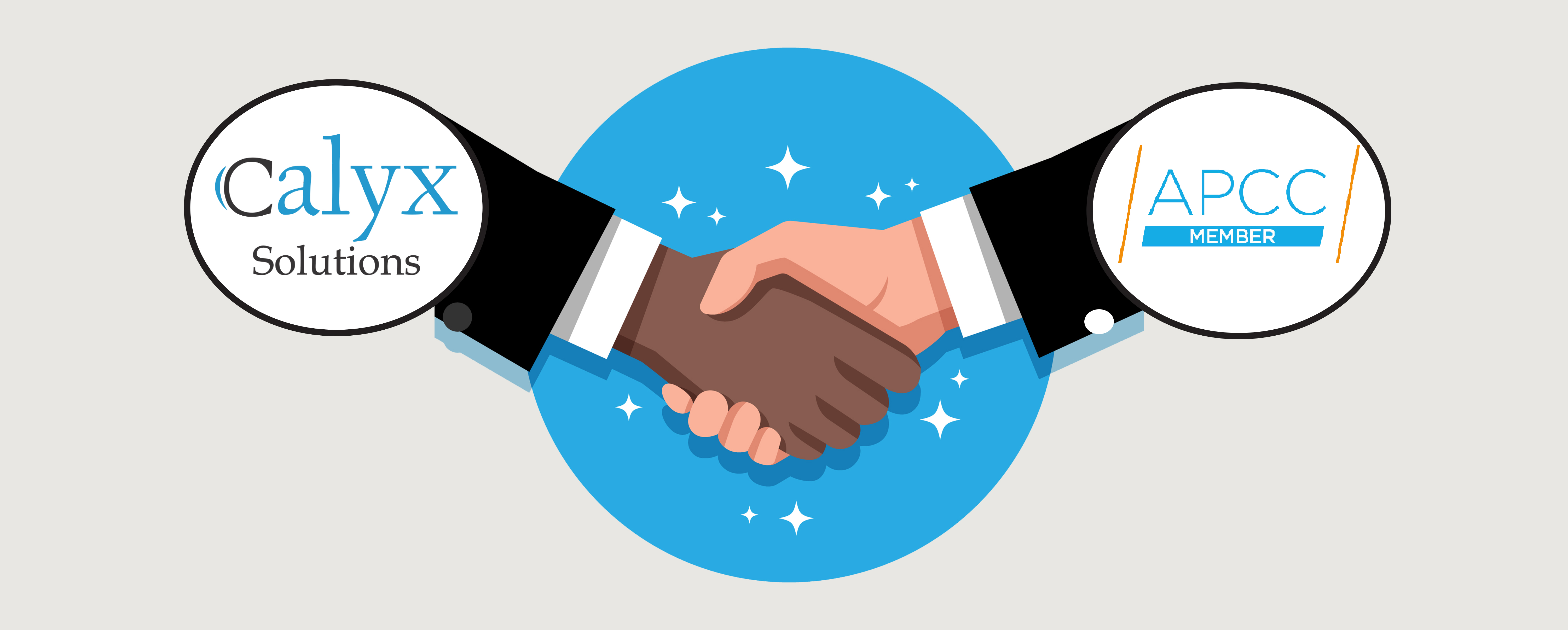 Association of Professional Compliance Consultants Association of Professional Compliance Consultants